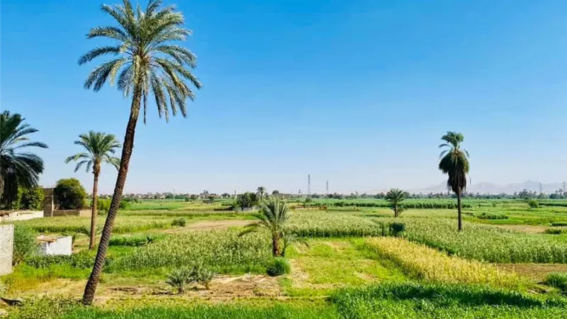 طقس اليوم في الأقصر: 21 درجة مئوية.. خريفي مائل للبرودة مائل للحرارة نهاراً