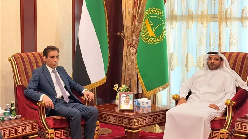 الخارجية: التواصل المباشر مع الجاليات المصرية من أولويات الوزارة