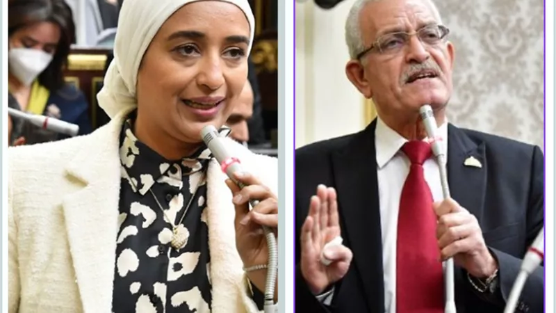 أبوشقة والمغاوري وجها لوجه: تعديل سن الطفل أم الحفاظ على القانون الدولي؟