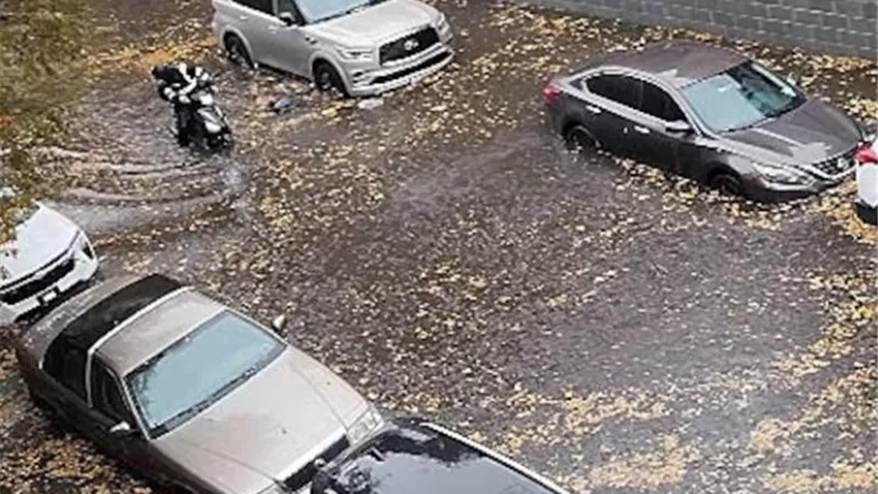 الفيضانات تضرب نيويورك.. غرق السيارات في الشوارع وإلغاء ألف رحلة طيران