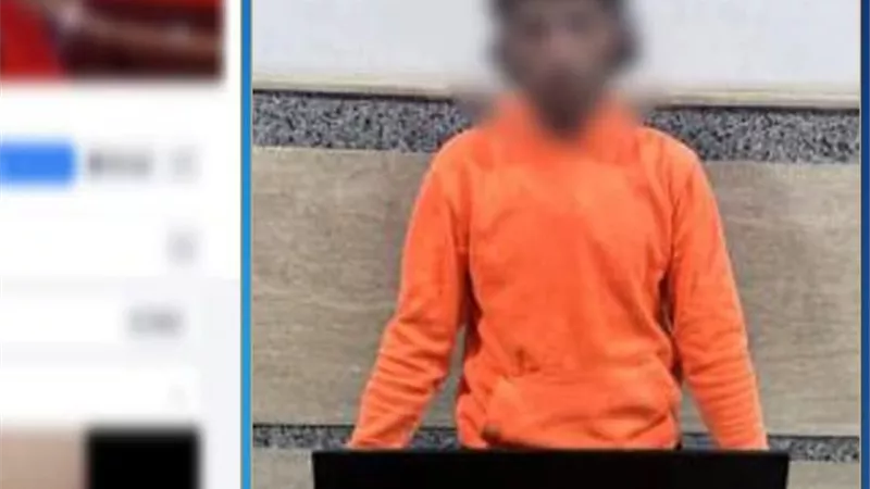 «تسلل إلى العقار وارتكب فعلته».. سقوط لص الشاشات التلفزيونية في قبضة الأمن 