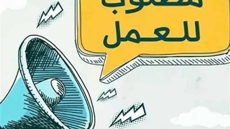  فرص عمل جديدة بوزارة الشباب برواتب مجزية 2025 | تفاصيل
