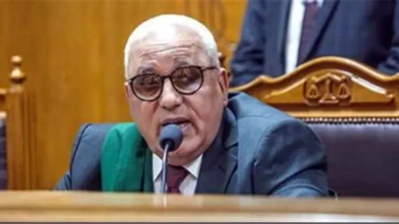 تأجيل محاكمة 61 متهما في قضية اللجان النوعية بالتجمع الخامس 