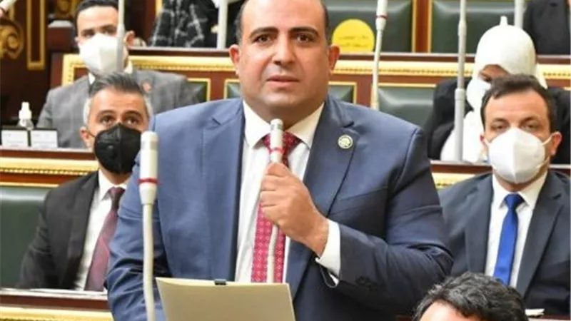 وكيل لجنة الشؤون الإفريقية بـ«النواب»: المتحف الكبير رافد مهم لتنشيط السياحة  