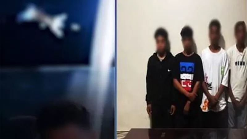 قلوب جاحدة.. القبض على المتهمين بإلقاء قطة في نهر النيل 