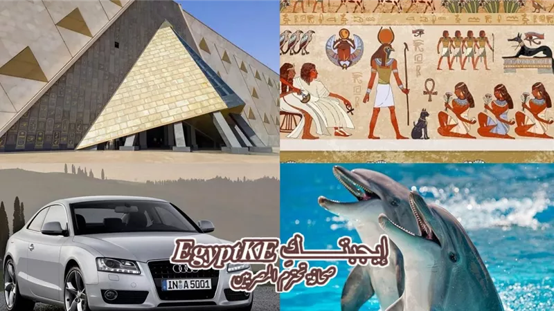 نشرة منوعات وتكنولوجيا وسيارات «إيجيبتك».. أهم ما سيشاهده الزوار اليوم داخل المتحف المصري