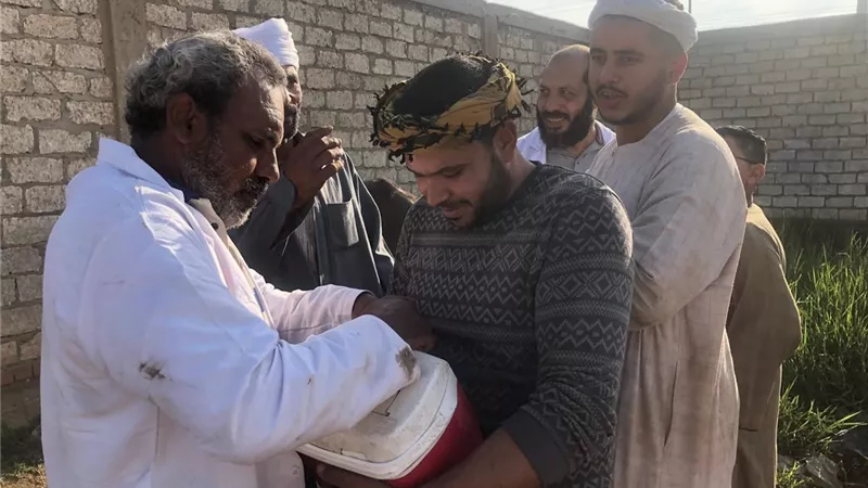 طب بيطري كفرالشيخ يواصل حملات التحصين ضد الحمى القلاعية والوادي المتصدع