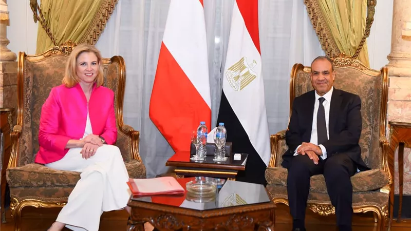 وزير الخارجية يؤكد ضرورة التنفيذ الكامل لاتفاق إنهاء الحرب في غزة 
