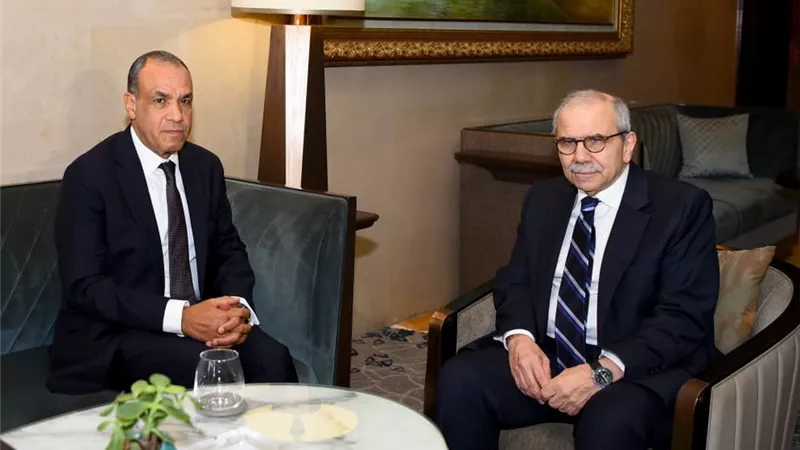 وزير الخارجية: مصر تدعم لبنان في مواجهة الانتهاكات الإسرائيلية المتكررة
