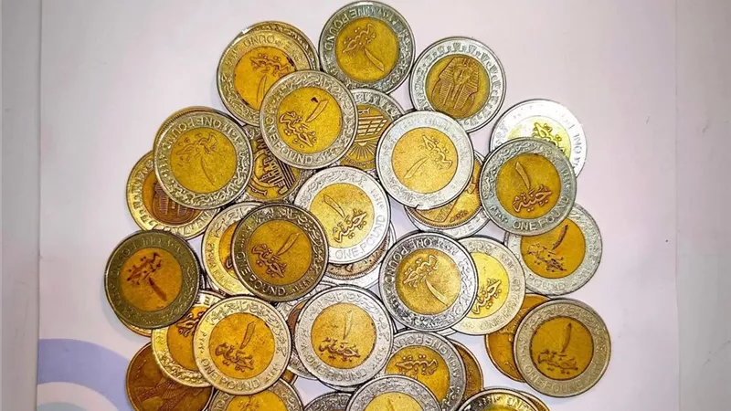 الكشف بجنيه.. طبيب أقصري يخصص يوما مجانيا بمناسبة المتحف الكبير  