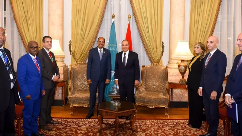 وزير الخارجية: موقف مصر ثابت وداعم لأمن ووحدة السودان 