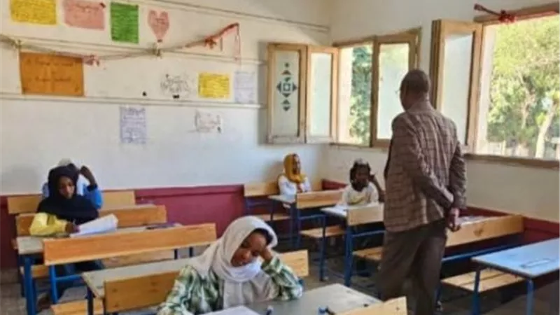 رابط نتيجة الشهادة الابتدائية للسودانيين في مصر
