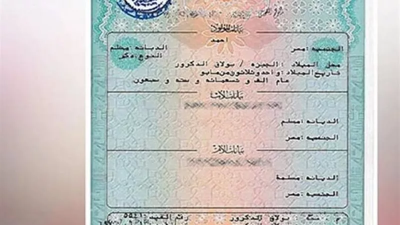 خطوات استخراج شهادة الميلاد المميكنة إلكترونيا 2025