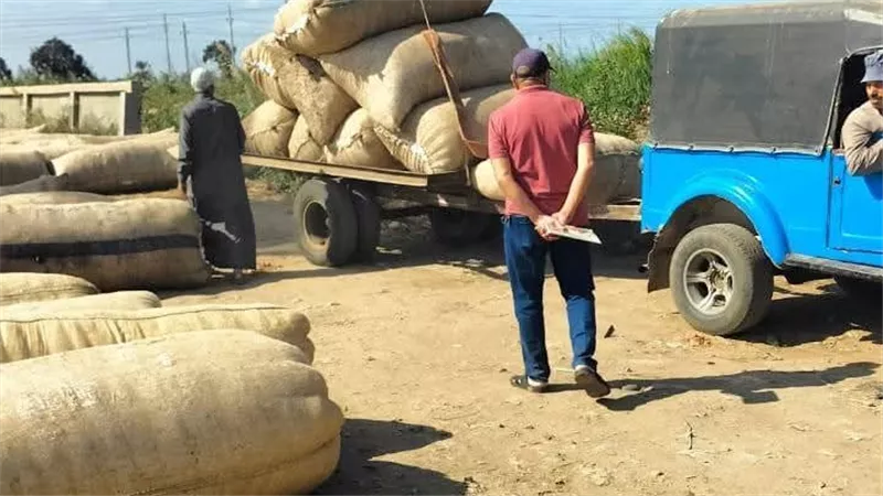 وكيل زراعة كفر الشيخ يتابع ندوة إرشادية عن محصول بنجر السكر