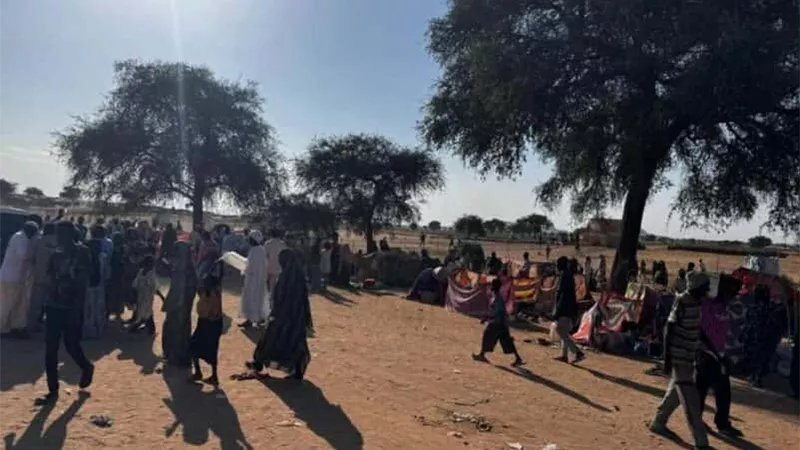 لاجئو الفاشر يروون تفاصيل تجاوزات ميليشيات الدعم السريع