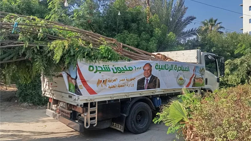 100 أمل.. قطور تواصل التجميل والتشجير ضمن مبادرة الـ100 مليون شجرة