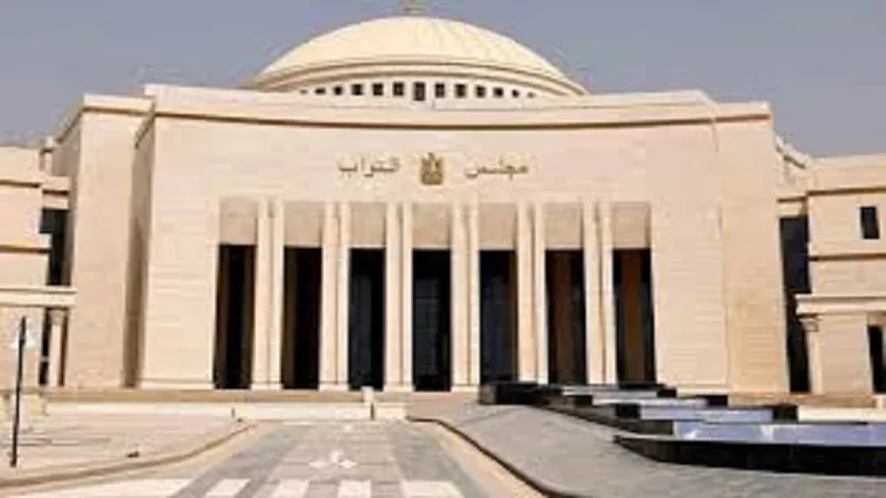 نائب بالشيوخ: برلمان 2025 يراهن على وعي الناخبين وليس