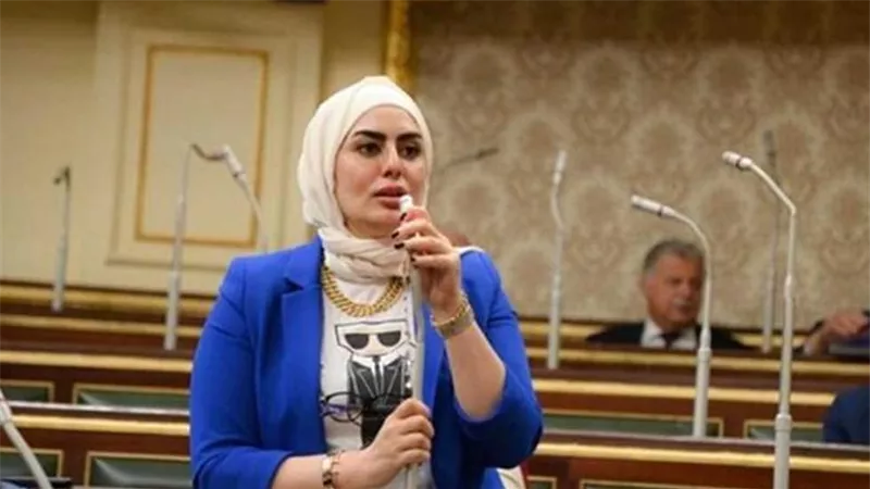 برلمانية: الانتخابات المقبلة تشهد تنافسا قويا بين المرشحين