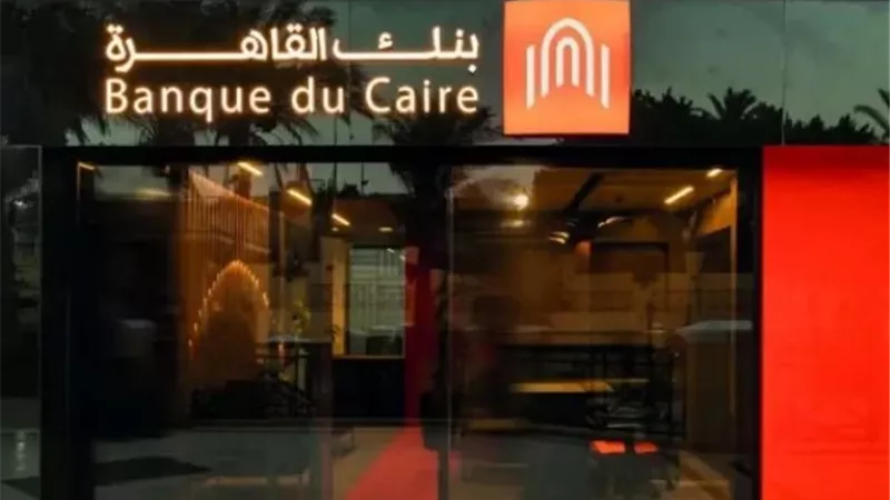 الطروحات تستهدف بنك القاهرة.. استثمارت عالمية تستعد للاستحواذ على أسهم في شركات مصرية| خاص 