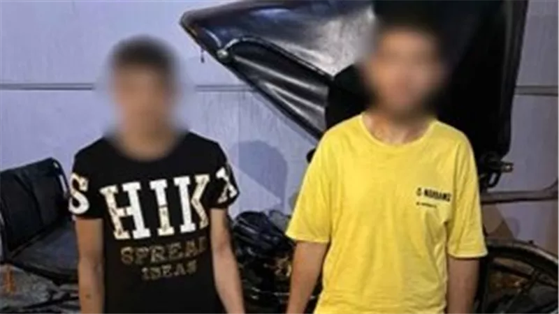 القبض على سائق حنطور لمحاولته إجبار سائحة على ركوب العربة بالإسكندرية