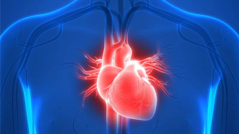 8 نصائح للوقاية من أمراض القلب.. منها تقليل الدهون غير الصحية