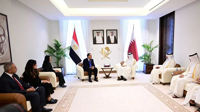 أستاذ استثمار: بدء تنفيذ الاستثمارات القطرية في مصر بتوجيهات الرئيس السيسي| فيديو