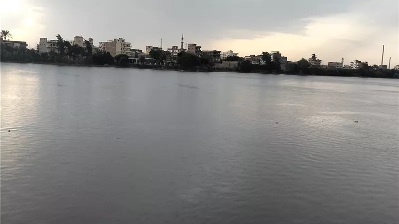 طقس كفر الشيخ.. أمطار خفيفة وبرق ورعد وسحب منخفضة