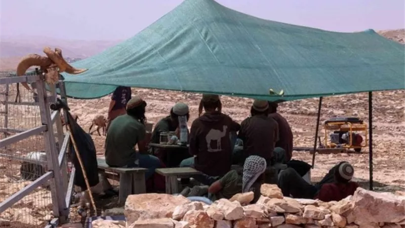 مستوطنون يوسعون نفوذهم جنوب الخليل بالاستيلاء على مئات الدونمات الزراعية