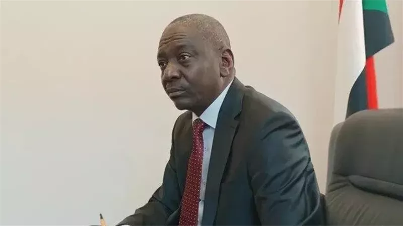 دون تدخل خارجي.. سفير سوداني يدعو لحل الصراع بين الجيش والدعم السريع 