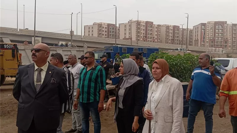 محافظ القليوبية يتابع حملة شبرا الخيمة للقضاء على عربات الكارو