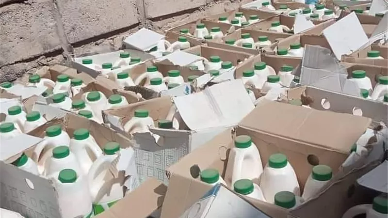 ضبط 2.5 طن ألبان منتهية الصلاحية في حملة تموينية بالإسكندرية