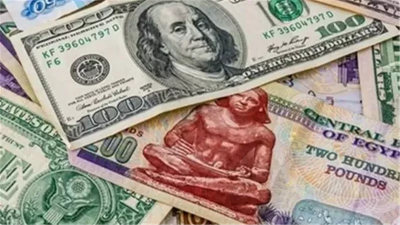 الجنيه يواصل مكاسبه أمام الدولار مرتفعًا 7% منذ بداية 2025