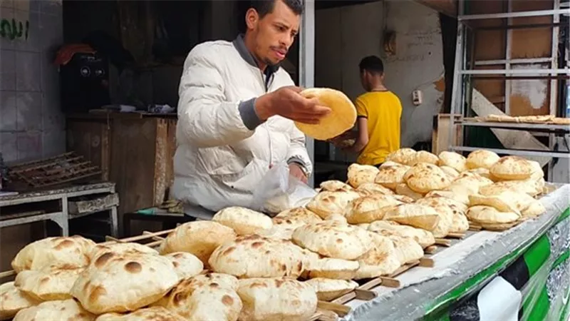 شعبة المخابز: خلط القمح المحلي بالمستورد يرفع جودة الخبز المدعم