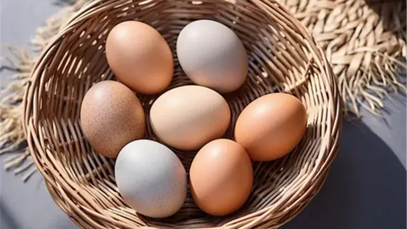 تراجع أسعار البيض في الأسواق .. انخفاض الأحمر 5 جنيهات للكرتونة