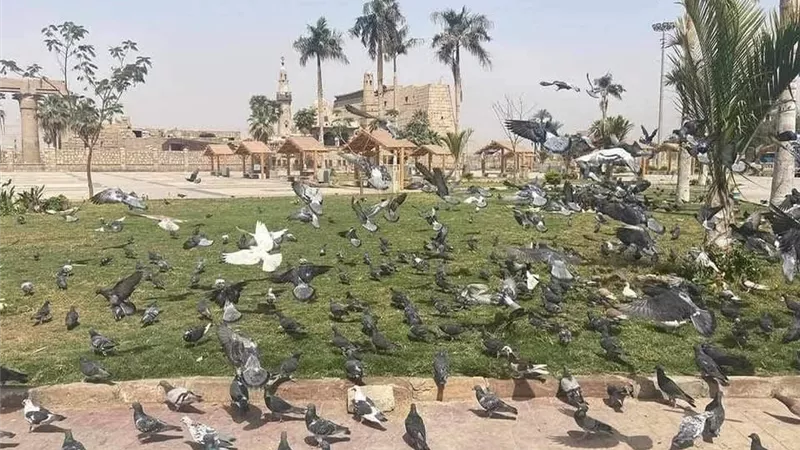 طقس الأقصر اليوم..  خريفي مائل للبرودة صباحا والحرارة 26 درجة