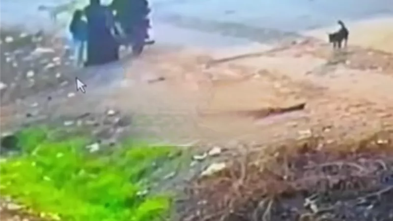 لتحديد هوية المتهمين.. الأمن يفحص فيديو سرقة هاتف فتاة بأوسيم 