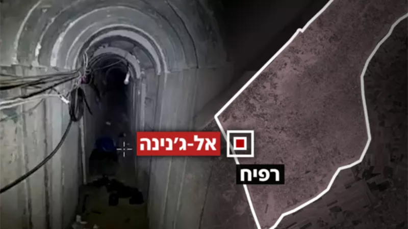 جحور الجنينة.. إسرائيل تحقق في صمود ونجاة 200 مقاوم من حماس برفح
