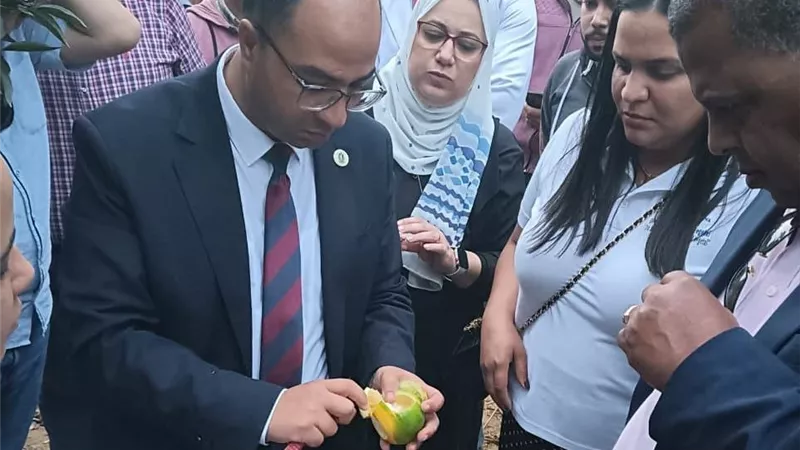 مفاوضات مصرية دومينيكانية لفتح أسواق الكاريبي للموالح والرمان