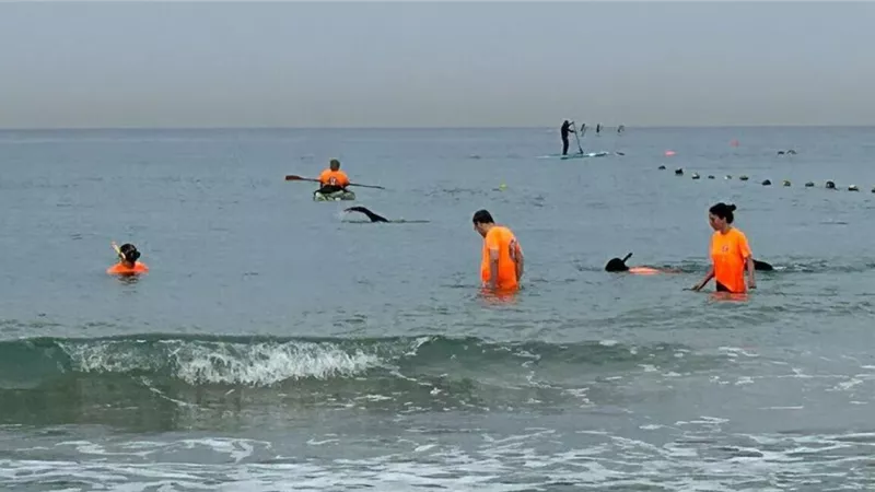 إسرائيل تُنشر فرق غواصة للبحث عن هاتف المدعية العامة العسكرية السابقة