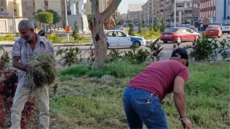 رئيس مدينة بورفؤاد يتابع جهود رفع كفاءة المسطحات الخضراء والجزر الوسطى