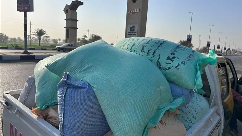 تموين الفيوم يضبط 1.5 طن دقيق بلدي مدعم وتحرير 59 مخالفة متنوعة