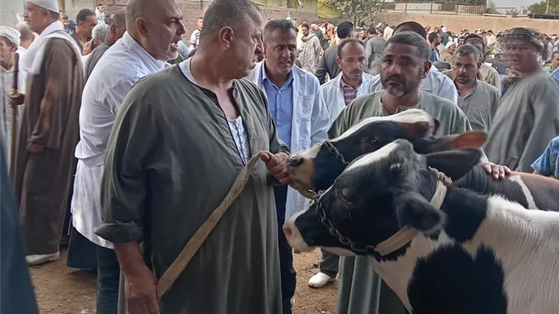 محافظ القليوبية يتابع فعاليات الحملة القومية لتحصين الماشية