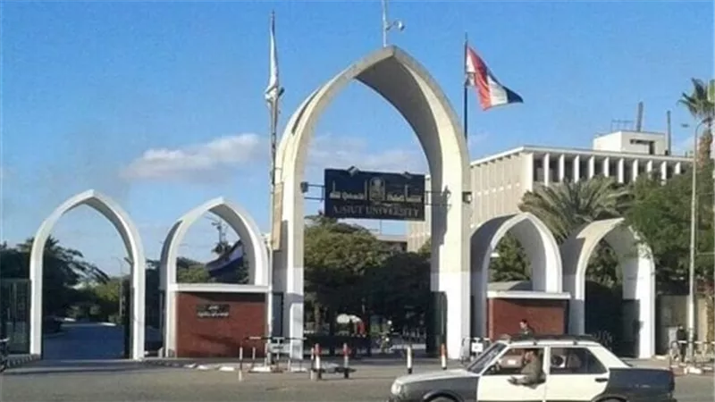 جامعة أسيوط تشهد ختام الموسم السابع من ورشة محاكاة النظام المصرفي المصري