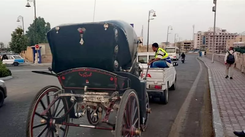 استرداد 2 فدان أراضي أملاك دولة والتحفظ على 3 عربات حنطور مخالفة بحملة بالأقصر