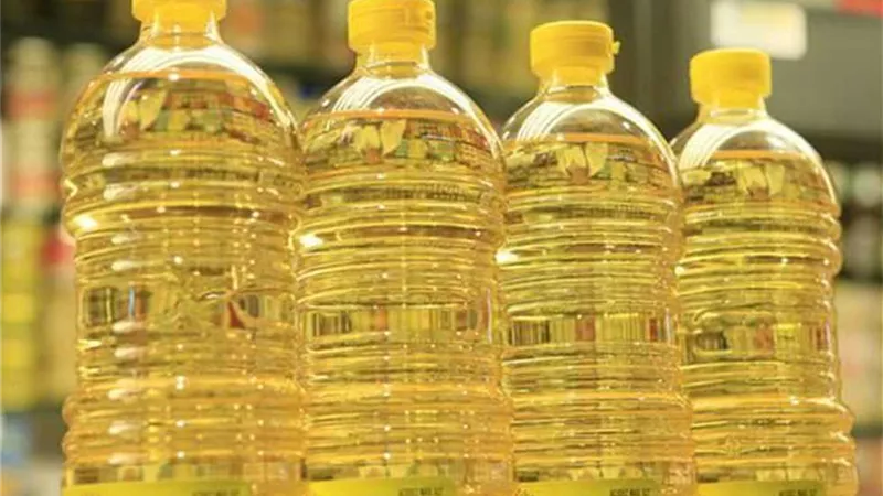 بحوث تكنولوجيا الأغذية: إعادة استخدام الزيت المستعمل يتلف الكلى والقلب