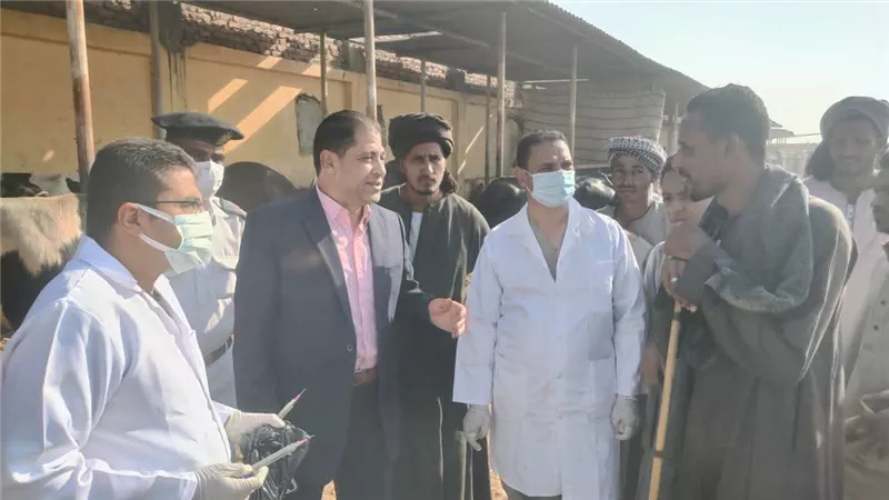 مدير الطب البيطرى بالأقصر يتفقد سوق المواشي بالحبيل: لا أثر للحمى القلاعية بالمحافظة