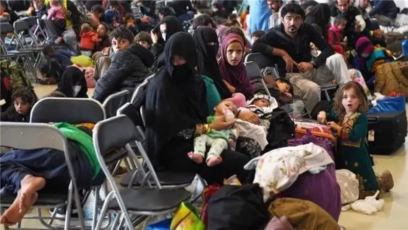 ألمانيا تستقبل 31 لاجئًا أفغانيًا ضمن برنامج الإيواء التابع للحكومة الألمانية