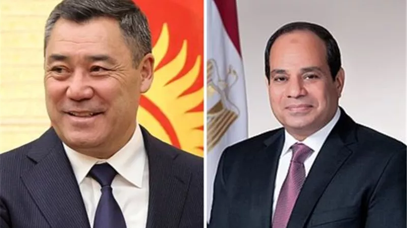 المؤسسات الدينية في مصر وقرغيزيا يتعاونان لمواجهة الفكر المتطرف