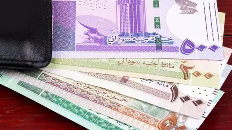 سعر الجنيه السوداني مقابل الدولار اليوم الأربعاء 5 نوفمبر 