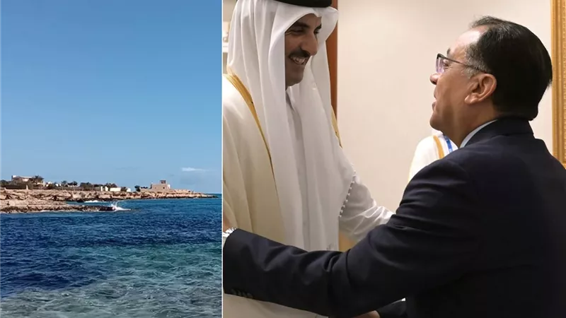 ماجد فهمي: صفقة علم الروم قرص مسكن والإصلاح الهيكلي هو الحل الحقيقي|خاص